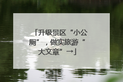 升级景区“小公厕”,做实旅游“大文章”→