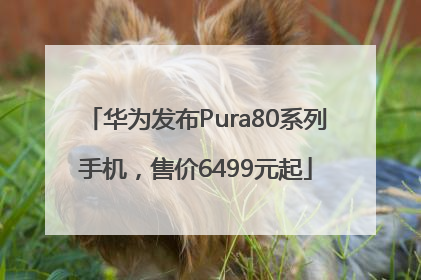 华为发布Pura80系列手机，售价6499元起