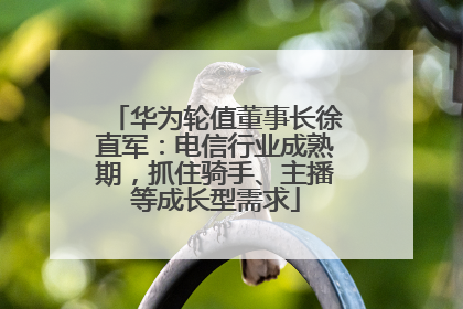 华为轮值董事长徐直军：电信行业成熟期，抓住骑手、主播等成长型需求