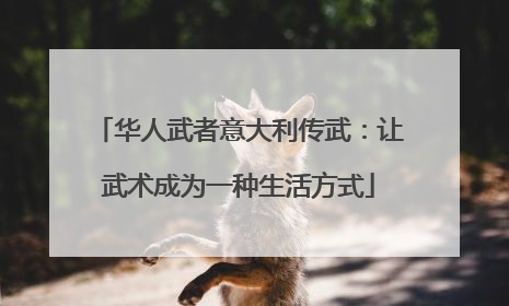 华人武者意大利传武：让武术成为一种生活方式