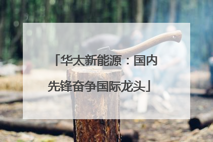 华太新能源：国内先锋奋争国际龙头