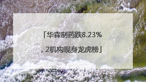 华森制药跌8.23%，2机构现身龙虎榜