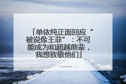 单依纯正面回应“被说像王菲”：不可能成为和超越前辈，我想致敬他们