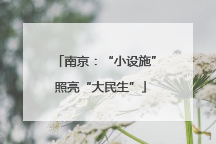 南京：“小设施”照亮“大民生”
