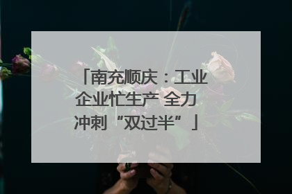 南充顺庆：工业企业忙生产 全力冲刺“双过半”