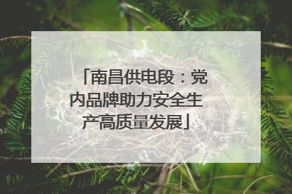 南昌供电段：党内品牌助力安全生产高质量发展