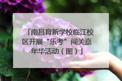 南昌育新学校临江校区开展“乐考”闯关嘉年华活动（图）