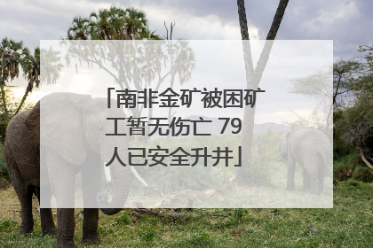 南非金矿被困矿工暂无伤亡 79人已安全升井