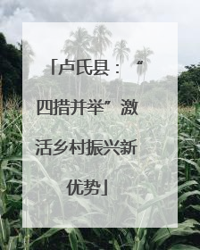 卢氏县：“四措并举”激活乡村振兴新优势