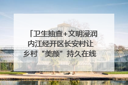 卫生抽查+文明浸润 内江经开区长安村让乡村“美颜”持久在线｜万千气象看四川