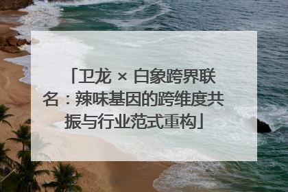卫龙 × 白象跨界联名：辣味基因的跨维度共振与行业范式重构