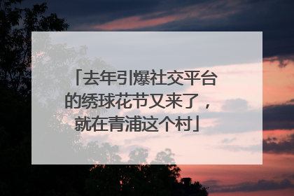 去年引爆社交平台的绣球花节又来了，就在青浦这个村