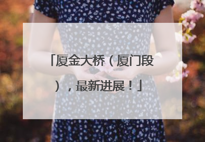 厦金大桥（厦门段），最新进展！
