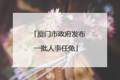 厦门市政府发布一批人事任免