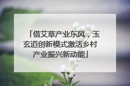 借艾草产业东风，玉玄道创新模式激活乡村产业振兴新动能