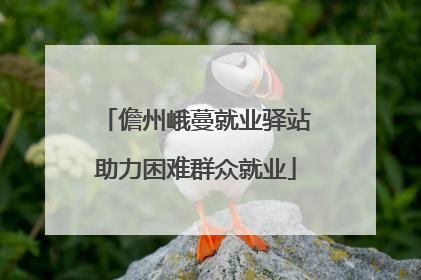 儋州峨蔓就业驿站助力困难群众就业