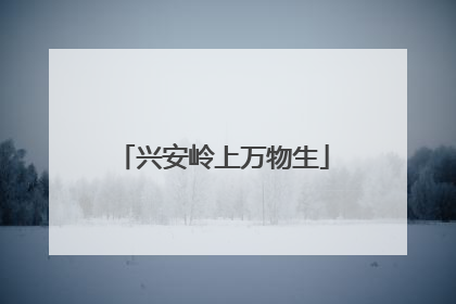 兴安岭上万物生
