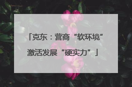 克东：营商“软环境” 激活发展“硬实力”