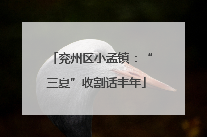 兖州区小孟镇：“三夏”收割话丰年