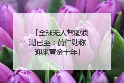 全球无人驾驶浪潮已至：黄仁勋称迎来黄金十年
