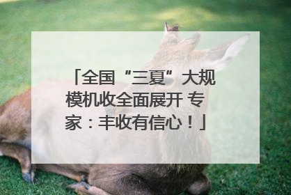 全国“三夏”大规模机收全面展开 专家：丰收有信心！