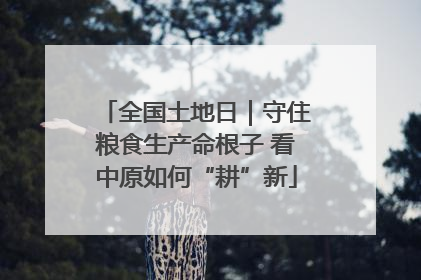 全国土地日｜守住粮食生产命根子 看中原如何“耕”新
