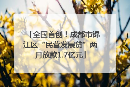 全国首创！成都市锦江区“民营发展贷”两月放款1.7亿元