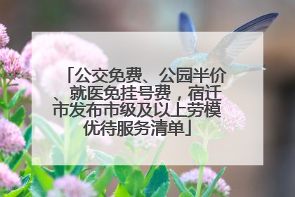 公交免费、公园半价、就医免挂号费，宿迁市发布市级及以上劳模优待服务清单