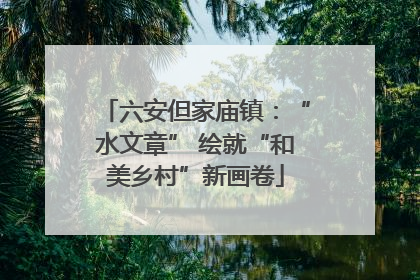 六安但家庙镇：“水文章” 绘就“和美乡村”新画卷