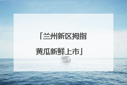 兰州新区拇指黄瓜新鲜上市