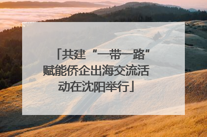 共建“一带一路”赋能侨企出海交流活动在沈阳举行
