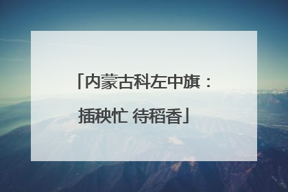 内蒙古科左中旗：插秧忙 待稻香