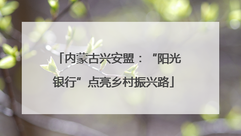 内蒙古兴安盟：“阳光银行”点亮乡村振兴路