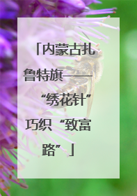 内蒙古扎鲁特旗——“绣花针”巧织“致富路”