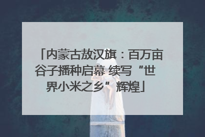 内蒙古敖汉旗：百万亩谷子播种启幕 续写“世界小米之乡”辉煌