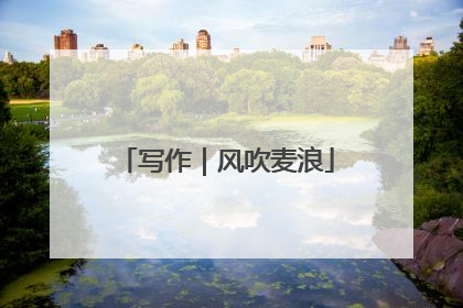 写作｜风吹麦浪