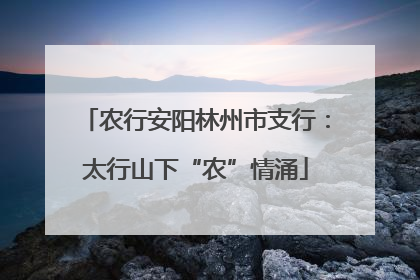农行安阳林州市支行：太行山下“农”情涌