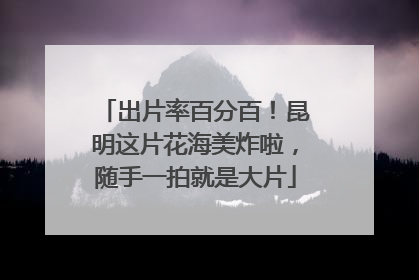 出片率百分百！昆明这片花海美炸啦，随手一拍就是大片