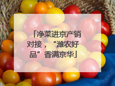 净菜进京产销对接，“潍农好品”香满京华