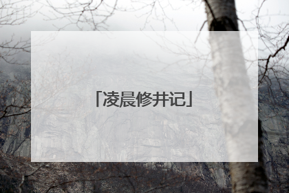 凌晨修井记