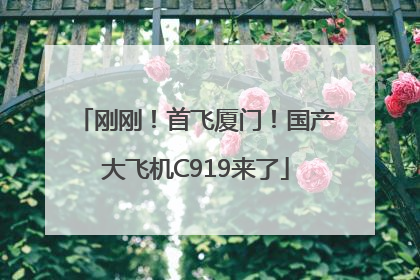 刚刚！首飞厦门！国产大飞机C919来了