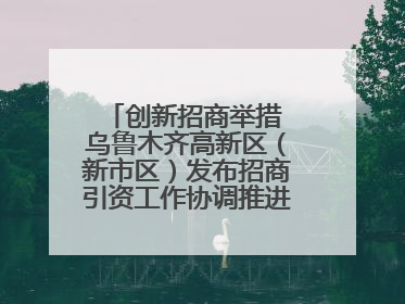创新招商举措 乌鲁木齐高新区（新市区）发布招商引资工作协调推进机制 打造投资发展新高地