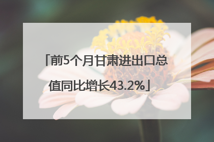 前5个月甘肃进出口总值同比增长43.2%