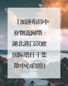 加速布局中亚物流网络：湖北港口汉欧国际塔什干集散中心启用
