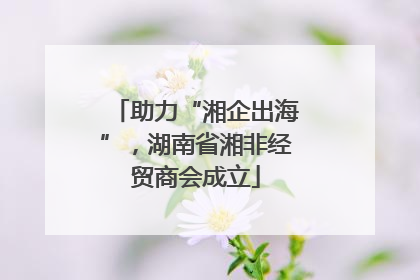 助力“湘企出海”，湖南省湘非经贸商会成立