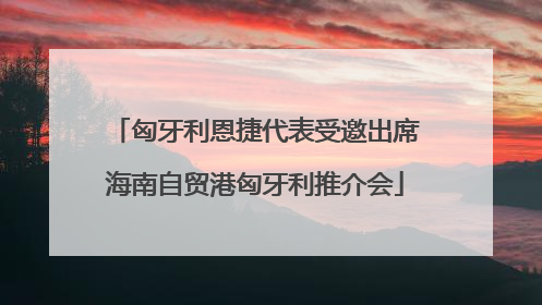 匈牙利恩捷代表受邀出席海南自贸港匈牙利推介会