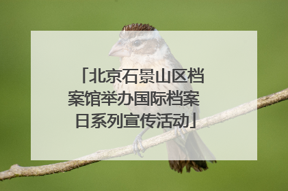 北京石景山区档案馆举办国际档案日系列宣传活动