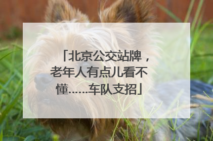 北京公交站牌，老年人有点儿看不懂……车队支招