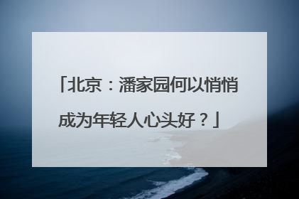 北京：潘家园何以悄悄成为年轻人心头好？