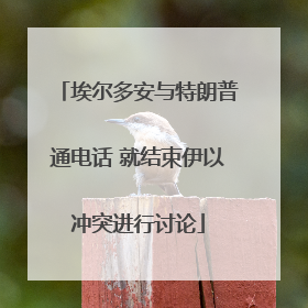 埃尔多安与特朗普通电话 就结束伊以冲突进行讨论